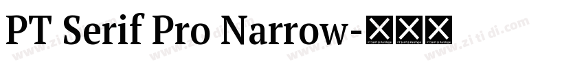 PT Serif Pro Narrow字体转换